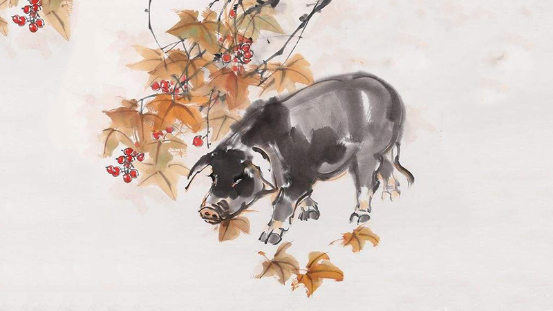 2019属猪运势，详细解释