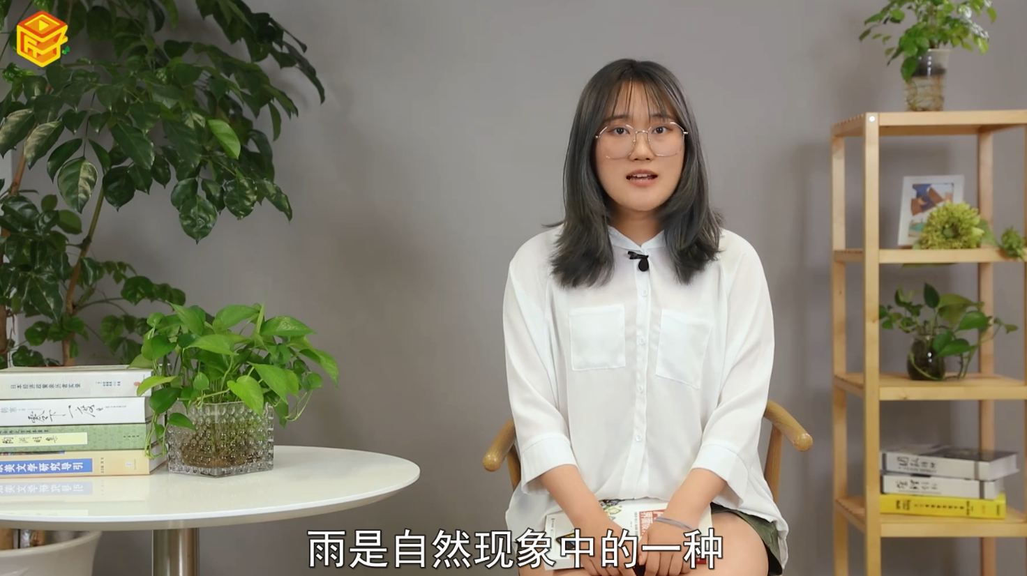 雨肖是哪几个生肖，详细解释
