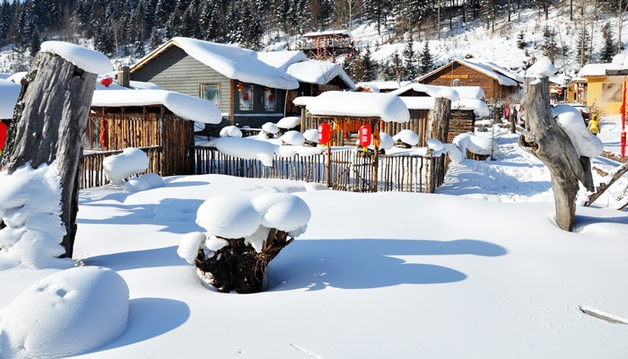 做梦梦见窗户被雪盖住了