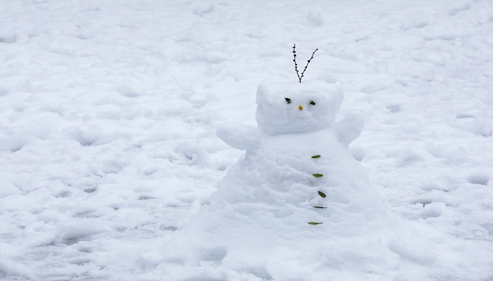 做梦梦见雪球往下滚