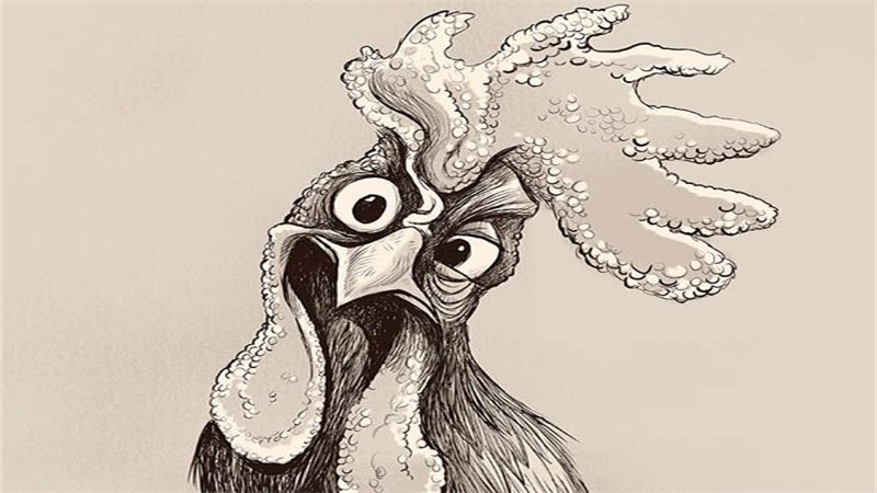 鸡虎属相合吗，最佳答案