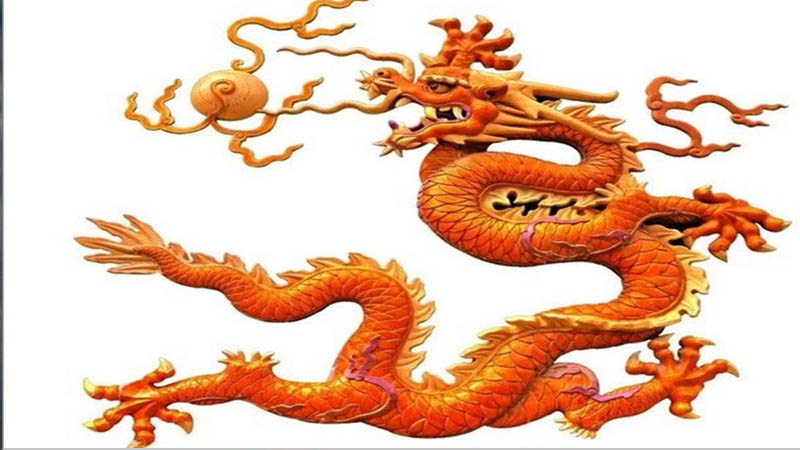 88年属龙什么命，标准答案