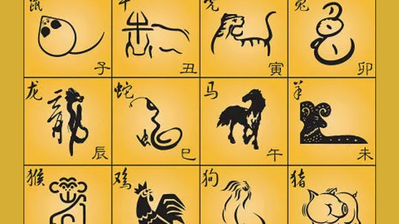 属牛适合的楼层，标准答案