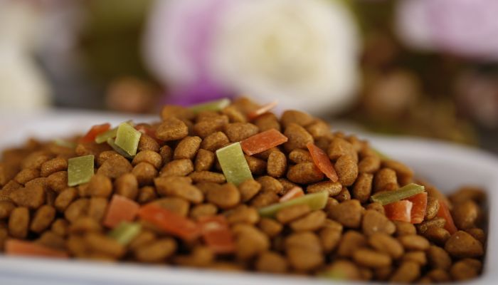 做梦梦见饲料是什么意思 做梦梦见饲料有什么预兆