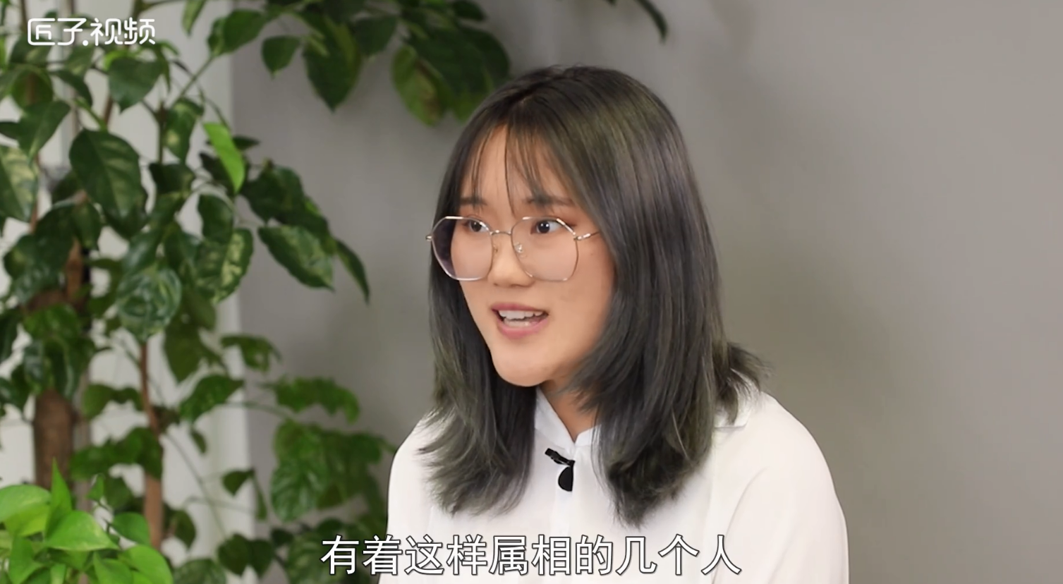 雨肖是哪几个生肖，详细解释
