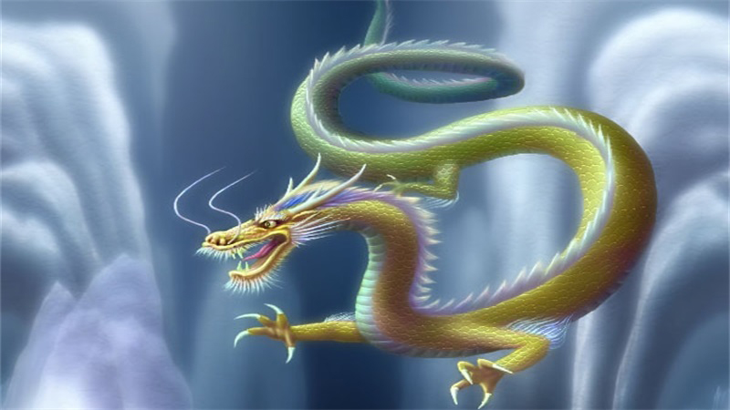 龙羊相配吗，最多人赞同的观点