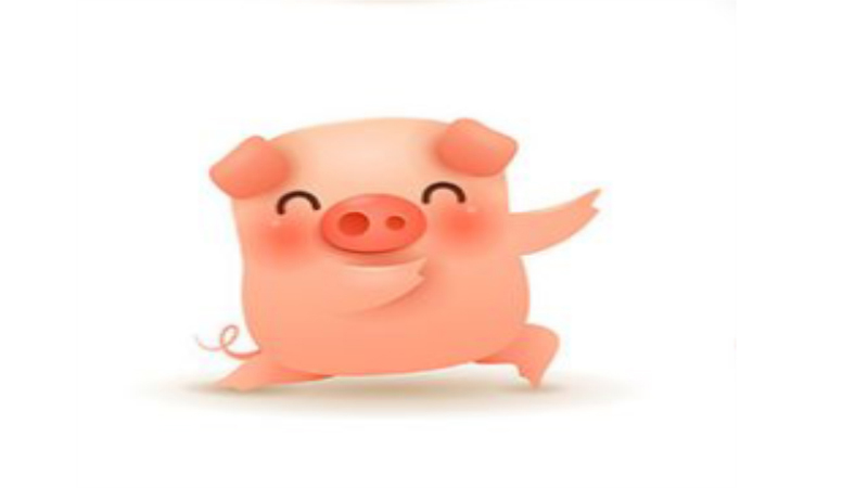 属猪取名禁忌，标准答案