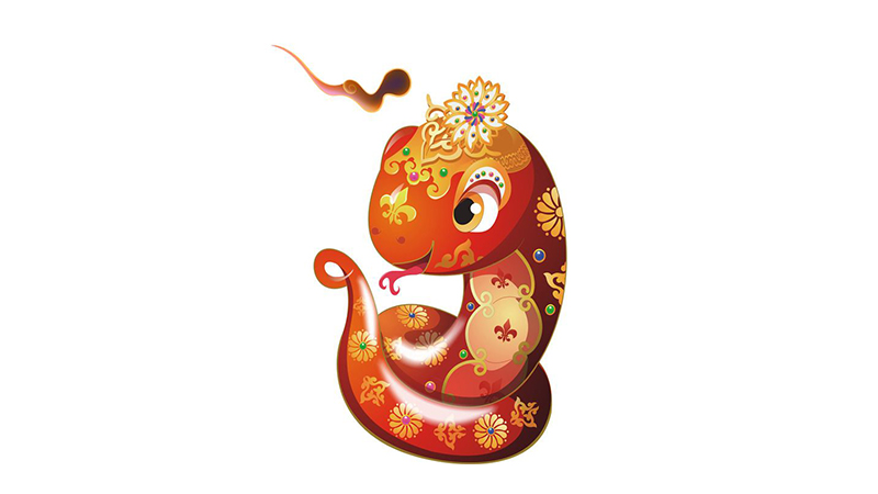 蛇女猴男的姻缘旺夫么，标准答案