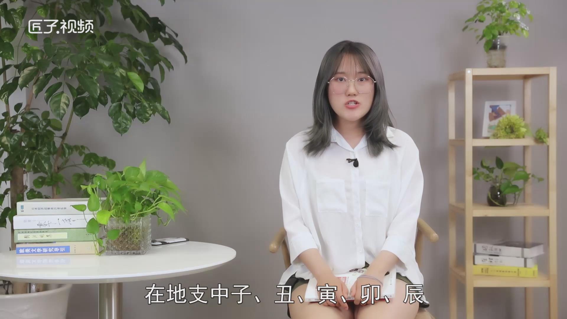 左肖是哪几个生肖，最多人赞同的观点