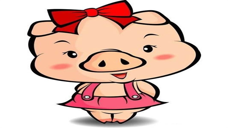 属猪女和属什么的最合适，最多人赞同的观点