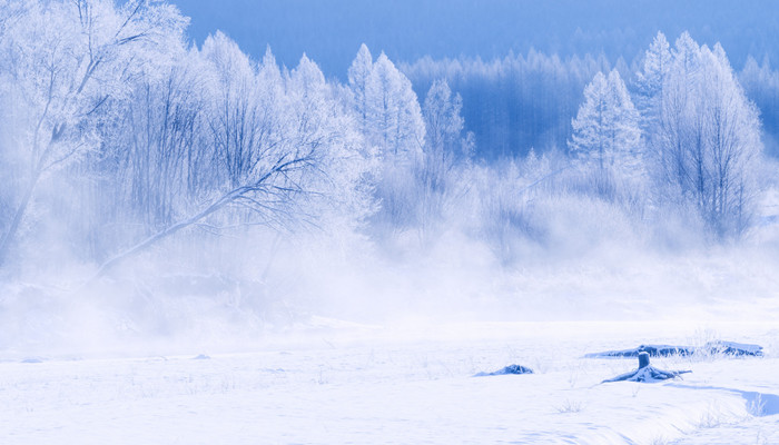 做梦梦见大雪纷飞什么意思