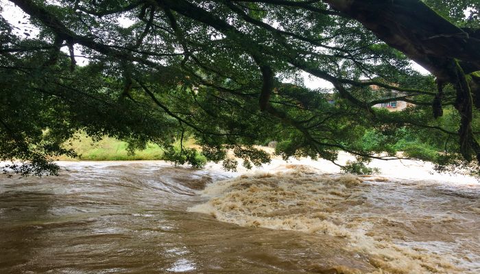 梦到下大雨发大水是什么意思