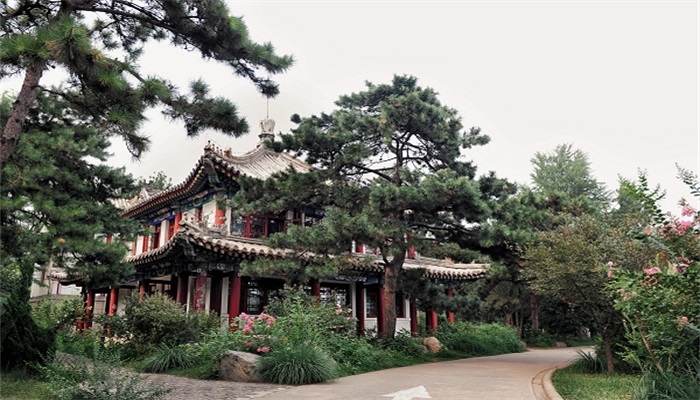 做梦梦见自己向别人问路有人指引