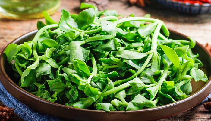 做梦梦见和别人一起挖野菜
