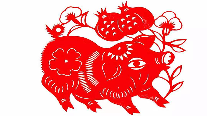 属猪的人今年财运如何，详细介绍