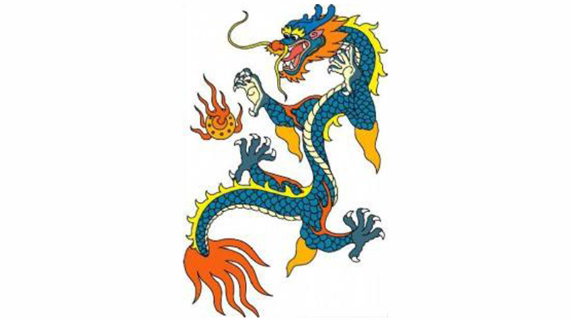 2024年属什么生肖什么命，标准答案