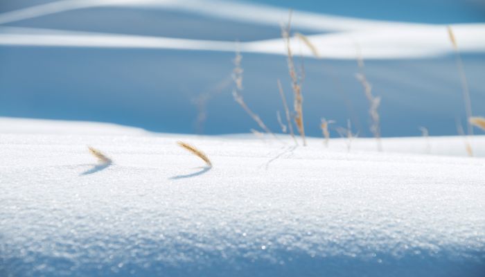 做梦梦见大雪纷飞什么意思 做梦梦见大雪纷飞预示什么