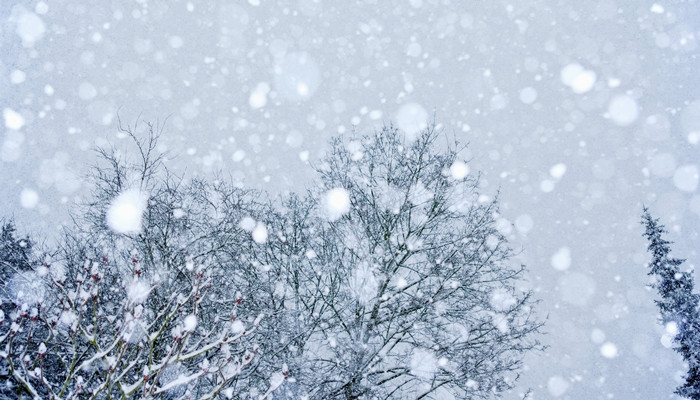 母亲去世前我梦到下雪