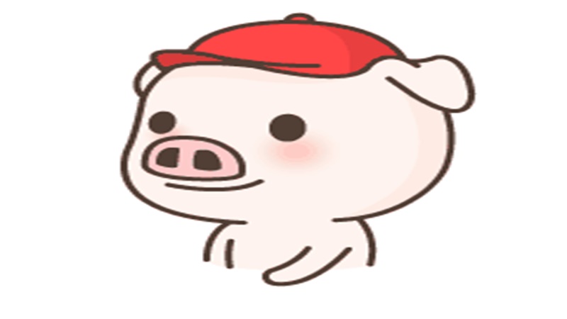 95猪和96鼠合不合，详细介绍