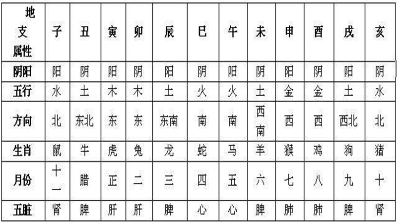 十二生肖时间段，最多人赞同的观点