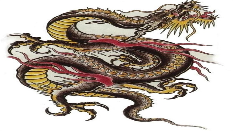 2012年属龙的命运如何，详细解释