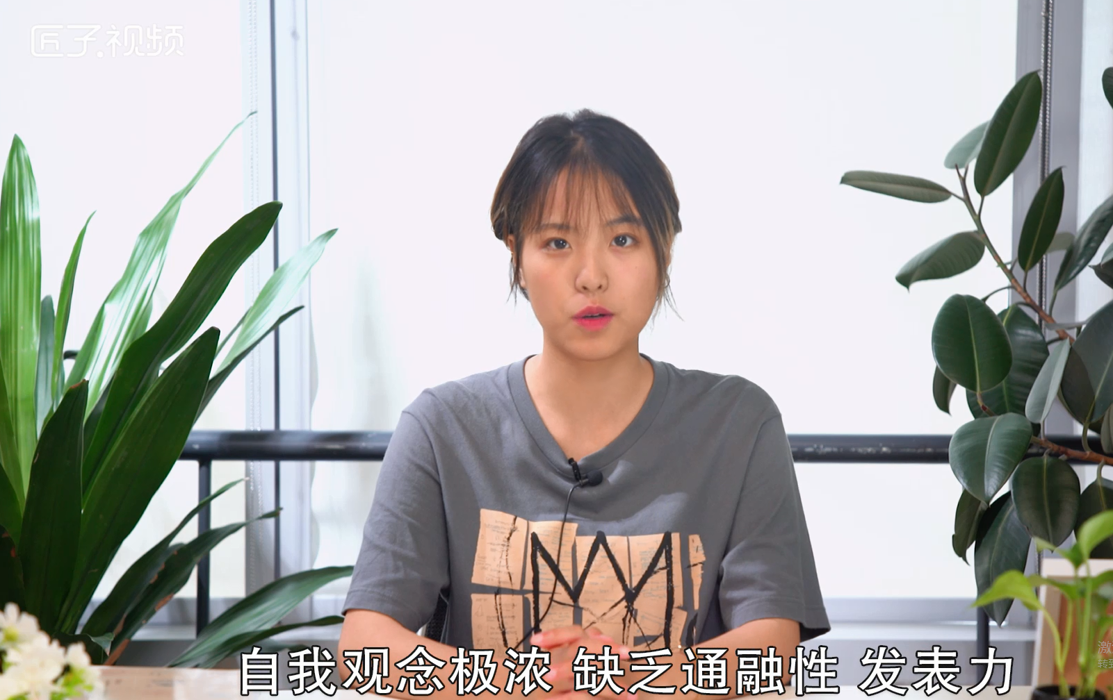 属狗和什么属相合适，详细解释