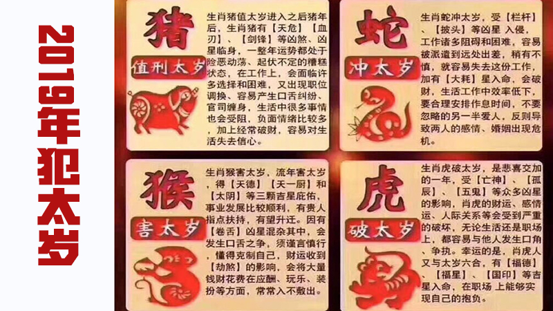 属虎的今年婚姻如何，最多人赞同的观点