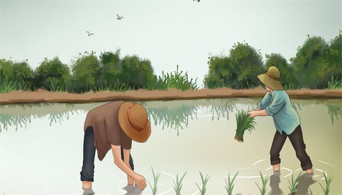 做梦梦见种豆子是什么意思啊