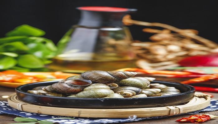 做梦梦见螺狮是什么意思 做梦梦见螺狮有什么预兆