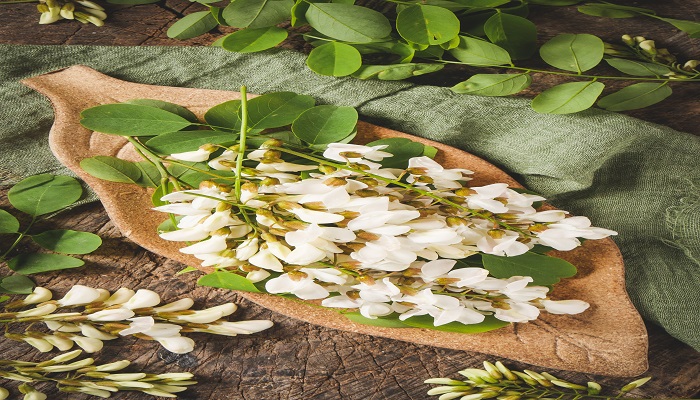 做梦梦见槐花开满树是什么意思