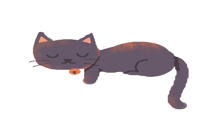 做梦梦见浑身是血的黑猫是什么意思 做梦梦见浑身是血的黑猫有什么预兆