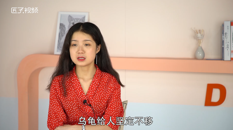 做梦做梦梦见乌龟是什么意思