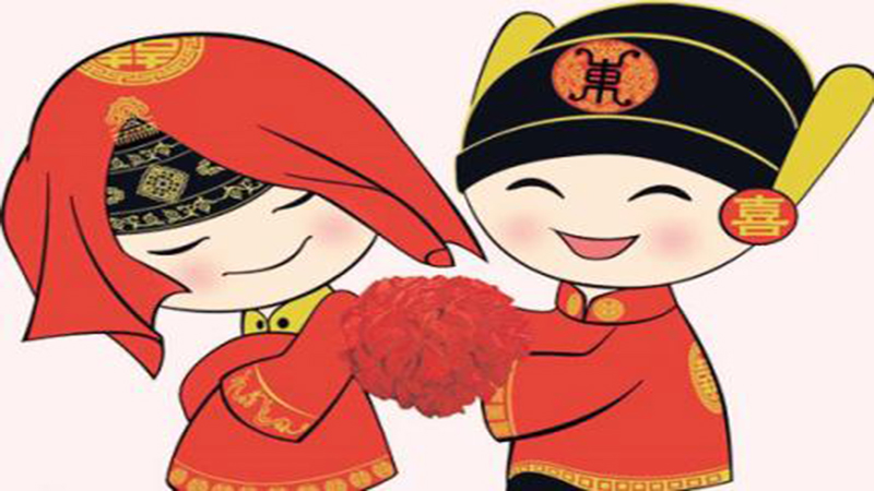 鸡跟老虎相配吗，标准答案