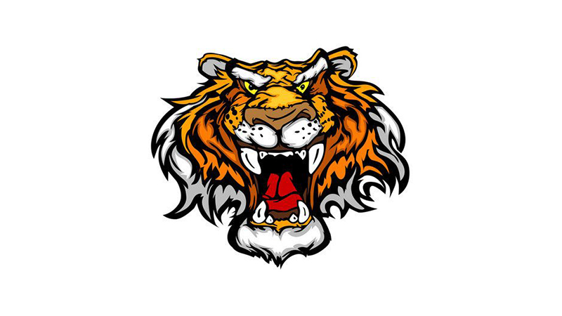 猪虎相冲吗，最佳答案