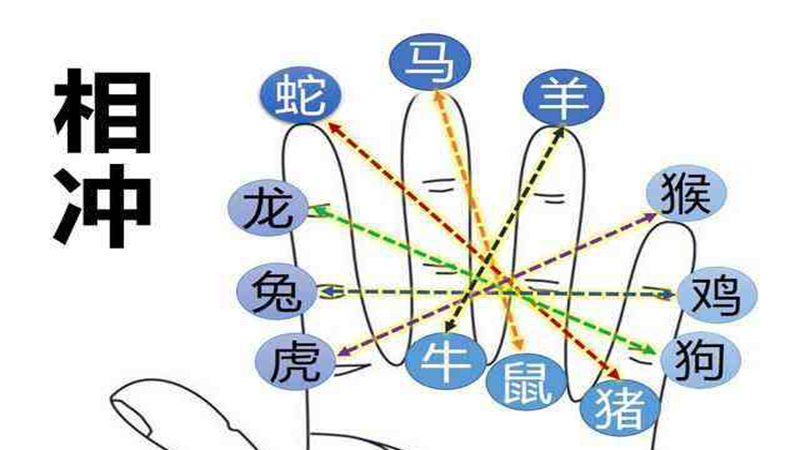 兔冲鸡三合生肖是什么，标准答案