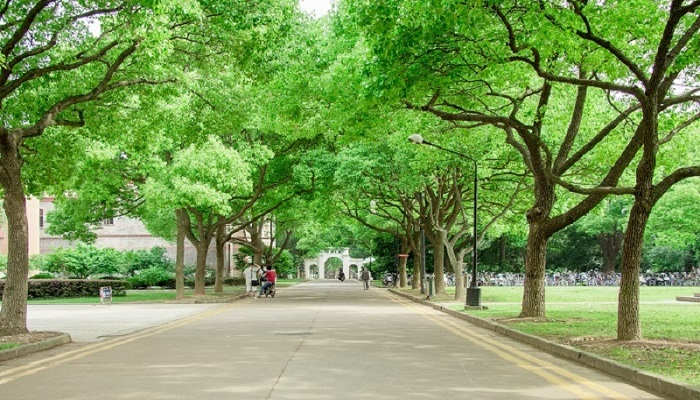 做梦梦见考上大学是什么预示