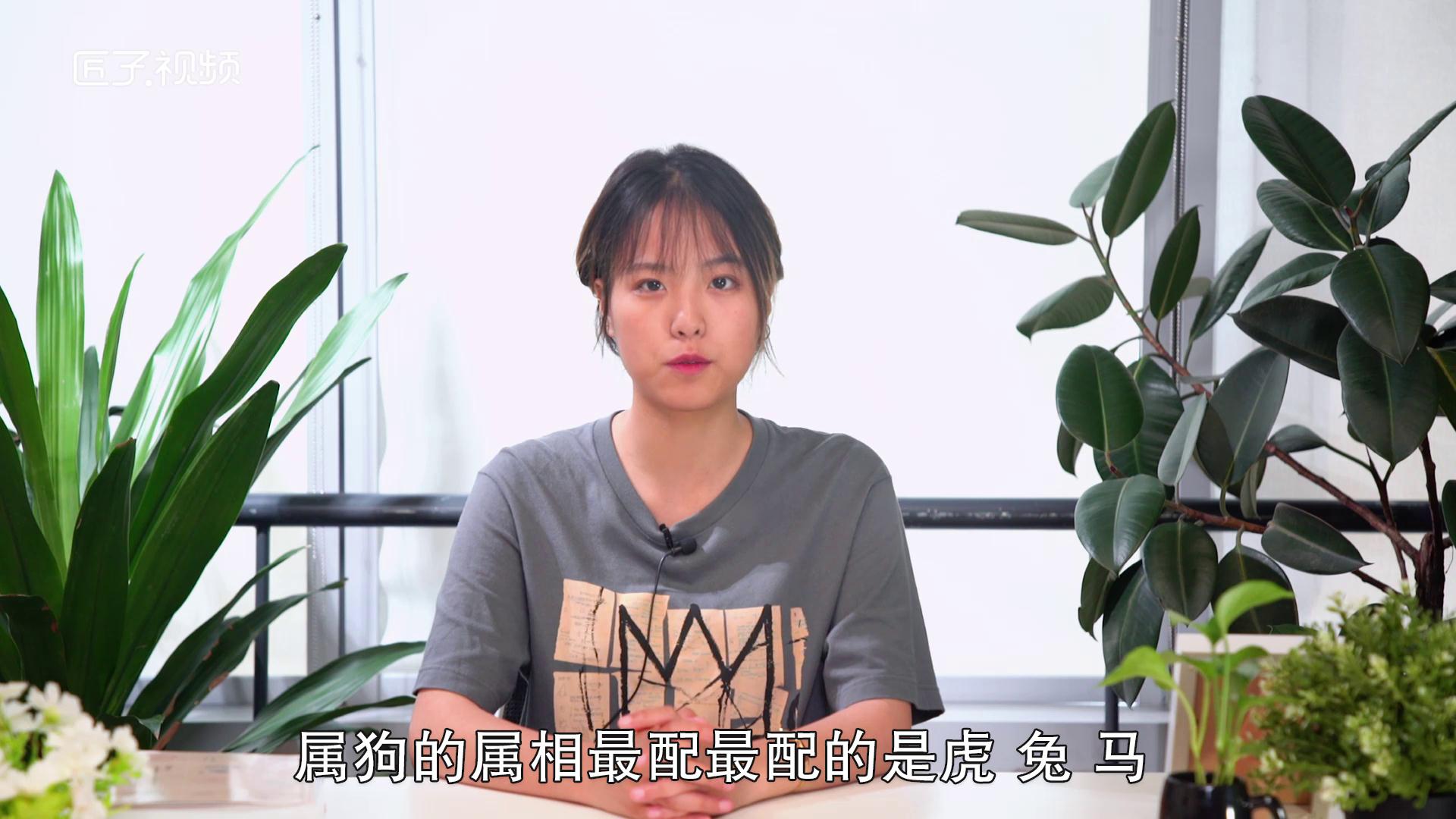属狗和什么属相合适，详细解释