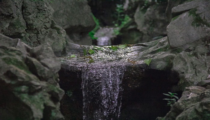 做梦梦见小河流水很清澈