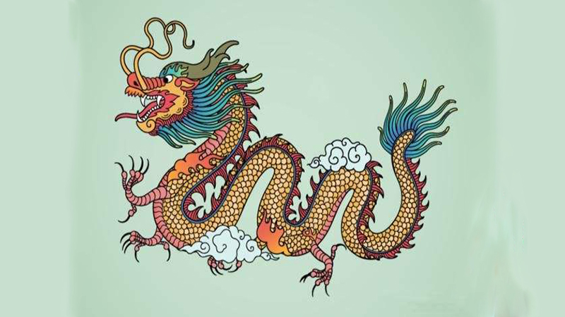 龙跟猪合吗，标准答案
