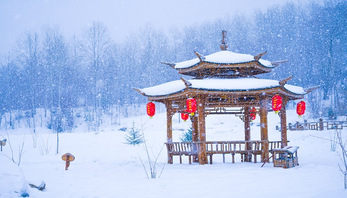 女人做梦梦见白白的雪地