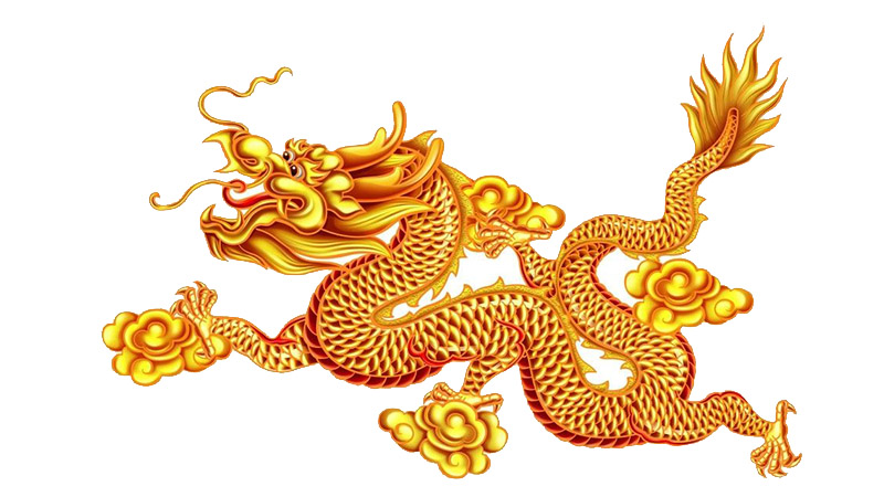 属龙人出生日的命运，最多人赞同的观点