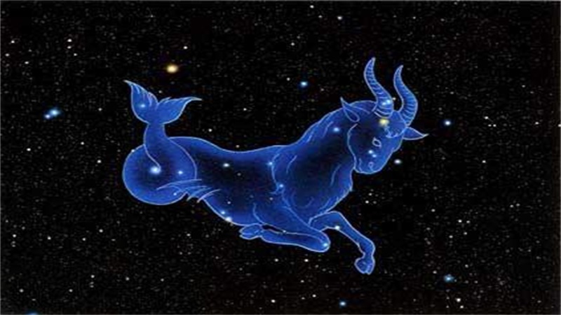 哪个星座能驾驭摩羯座，最佳答案