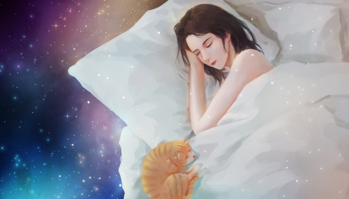 做梦梦见被猫抓伤是什么意思