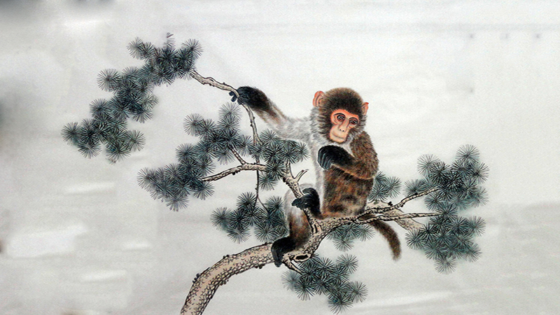 2021年属猴人的全年运势，详细解释