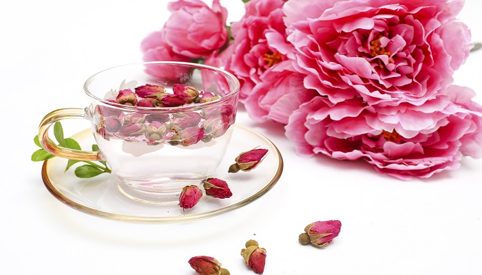 做梦梦见茶花是什么意思 做梦梦见茶花是什么预兆