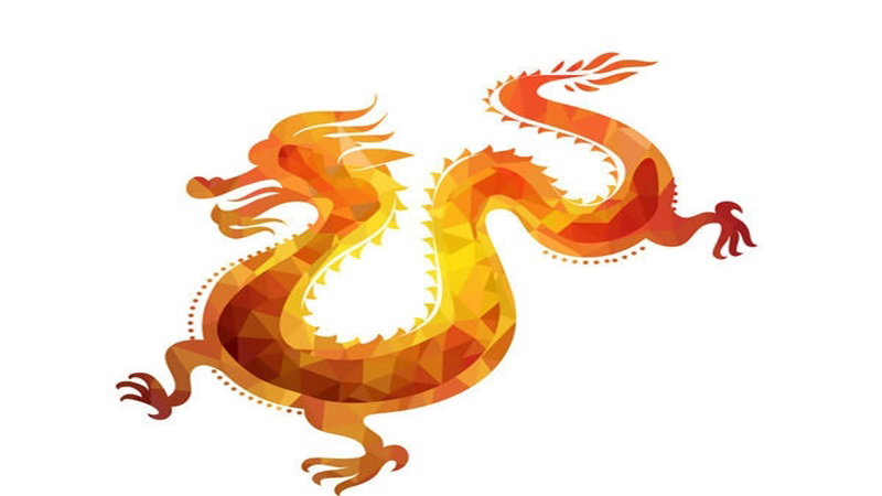 属龙初几出生好，详细介绍
