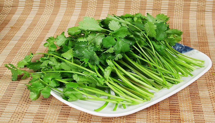 做梦梦见香菜长的很好是什么意思