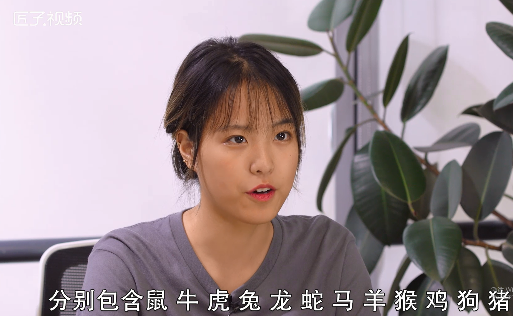 十二生肖都有什么，标准答案