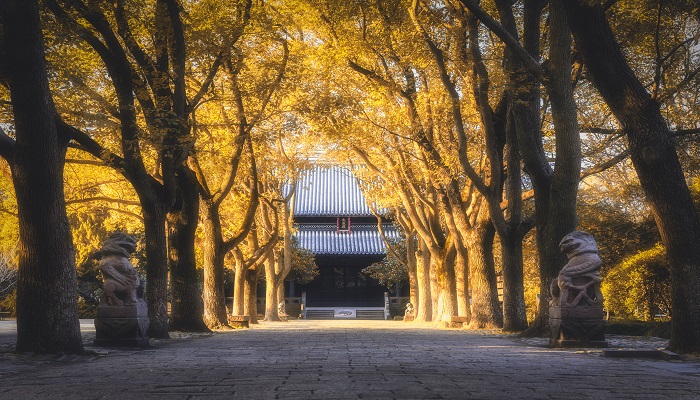 做梦梦见寺庙和僧人是什么意思 做梦梦见寺庙和僧人有什么预兆