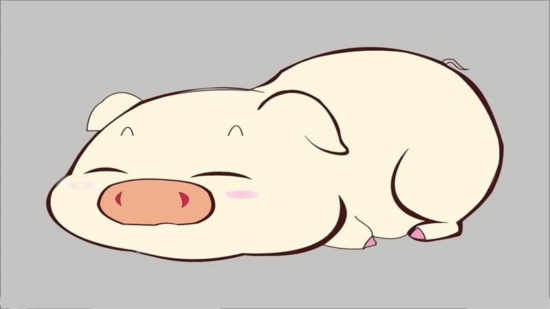 狗与猪合不合，最多人赞同的观点